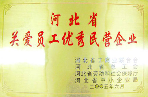河北省關(guān)愛職工優(yōu)秀民營(yíng)企業(yè)