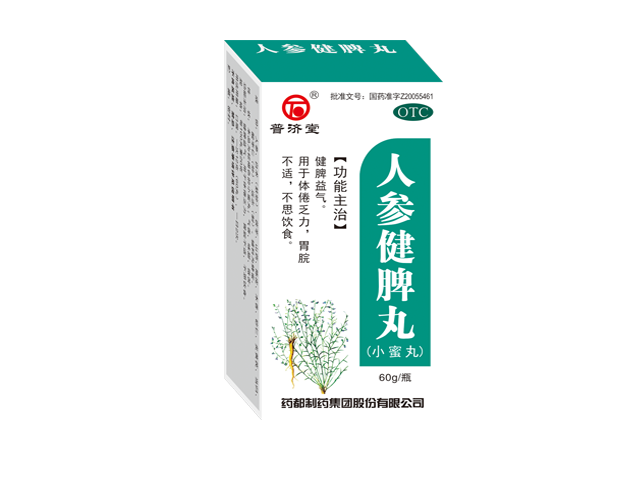 人參健脾丸小蜜丸.png 人參健脾丸小蜜丸.png